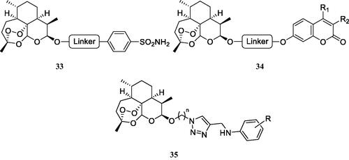 Figure 12. DHA–CAI hybrids incorporating sulphonamide (33 and 35) and coumarin moieties (34) as CA inhibitory fragment. In compounds 35R = sulfamoyl, in meta or para positions. The linkers may be 1,2,3-triazole based moieties obtained by click chemistry, –O–(CH2)n–O–, n = 2–4, etc.