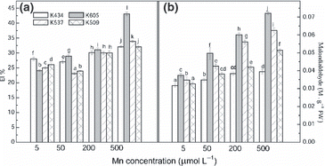 Figure 5 Changes in (a) electrolyte leakage (EL) and (b) the level of lipid peroxidation (MDA content) in the leaves of var. Kneja 434, var. Kneja 605, var. Kneja 509 and var. Kneja 537 grown in nutrient solutions with different Mn concentrations (μmol L−1): 5 (control), 50, 200 and 500. Values represent the means of three independent experiments. Different letters indicate significant differences assessed by Fisher’s least significant difference test (P < 0.05) using anova multifactor analysis. FW, fresh weight.
