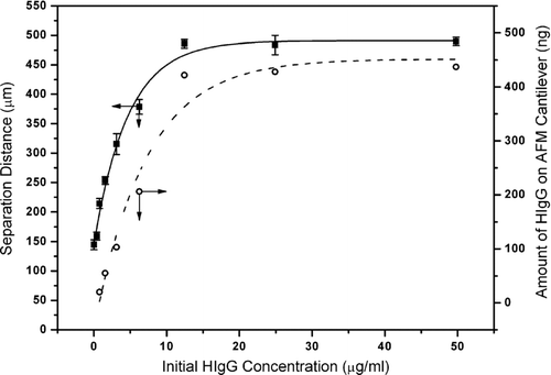 Figure 3 Change of separation distance (measured by the AFM system; average of ten repeated measurements with each five cantilevers and the standard deviation) and amount of HIgG adsorbed onto histidine carrying AFM cantilevers (obtained by the modified Lowry method).