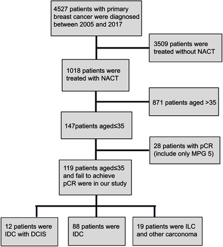 Figure 1 Patient selection and pathologic diagnosis procedure.Abbreviations: NACT, Neoadjuvant chemotherapyp; CR, pathologic complete response; MPG, Miller-Payne grading; DCIS, ductal carcinoma in situ; IDC, invasive ductal carcinoma; ILC, invasive lobular carcinoma.