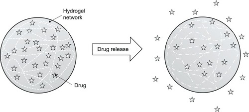 Figure 3 Hydrophilic polymeric chains network and release the drug for dissolution through the spaces of their mesh.