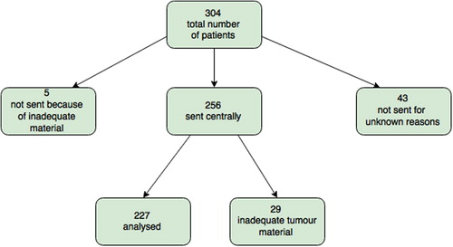 Figure 1. Flowchart of all patients eligible for EGFR analysis.