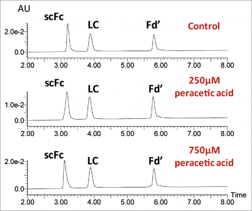 Figure 3. Impact of oxidation on the elution profiles of mAb subunits. UPLC profiles are presented for the mAb-A control sample and samples treated with 250µM and 750 µM peracetic acid for 2 hr at 30°C (top to bottom).