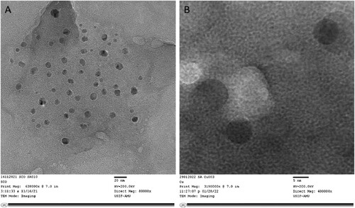 Figure 8. HR-TEM images of green synthesized CuONPs using J. curcas leaves. The image captured at (a) low (20 nm) and (b) high magnification (5 nm).