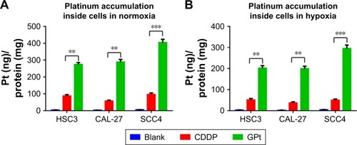 Figure 8 GQD enhances Pt accumulation in OSCC cells. Cellular accumulation of Pt with or without GQDs loaded in OSCC cells under normoxia (A) and hypoxia (B) conditions detected by ICP-MS. Cellular Pt was normalized to cellular protein ([Pt] ng/[protein] mg). **p<0.01; ***p<0.005.Abbreviations: CDDP, cisdiamminedichloroplatinum (II); GQDs, graphene quantum dots; OSCC, oral squamous cell carcinoma; ICP-MS, inductively coupled plasma-mass spectrometry; GPt, polyethylene glycol-GQDs-Pt.