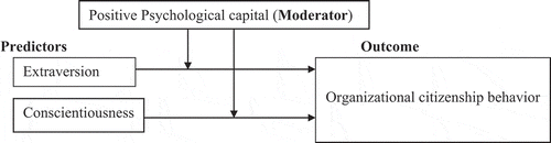 Figure 1. Conceptual framework of study