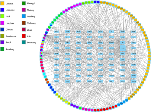Figure 4 Construction of the drug-target pharmacology network. The drug-targets interaction pharmacology network. Circles represent the small molecule active compounds in BLEC. Each colour represents a traditional Chinese medicine ingredient. Rectangle represents the CAD-related target genes, and edges represent the interaction between the small molecule compounds and the target genes.