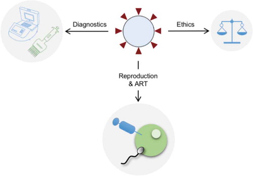 Figure 4. The impact of SARS-CoV-2. An overview of the current impact of COVID-19. As the viral curve is not flattening but continues to increase, COVID-19 raised a number of issues including the impact on reproductive research. Various diagnostic tests have been developed with NGS and SMS having the more diagnostic reliability in comparison to other molecular and antibody tests. Reproductive organs have been also affected by COVID-19, especially testis and ovaries raising the possibility that this virus may exert negative effects on reproduction and assisted reproduction. Nonetheless, COVID-19 brought to us bioethical issues as well, placing this pandemic, caused by this virus, as one of the biggest in the modern history