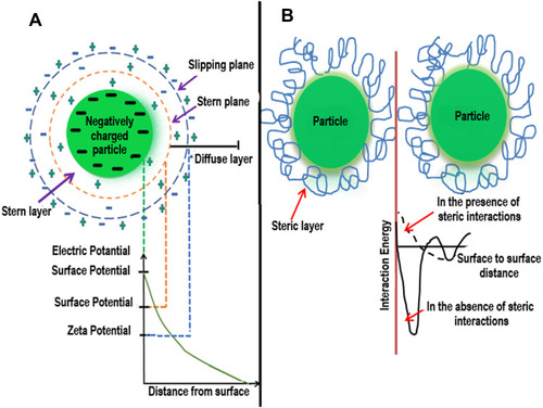 Figure 4 (A) Electrostatic stabilization of gold nanoparticles. (B) Steric stabilization of gold nanoparticles.