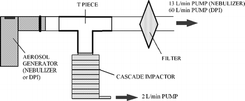 FIG. 1 Cascade impaction setting in accordance with the European Standard (EN 13544-1, Appendix CC.3, 2001)