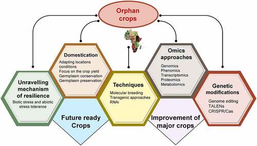 Figure 1. General considerations and future strategies employed for development of resilient crops using wild repository of orphan/underutilized crops.