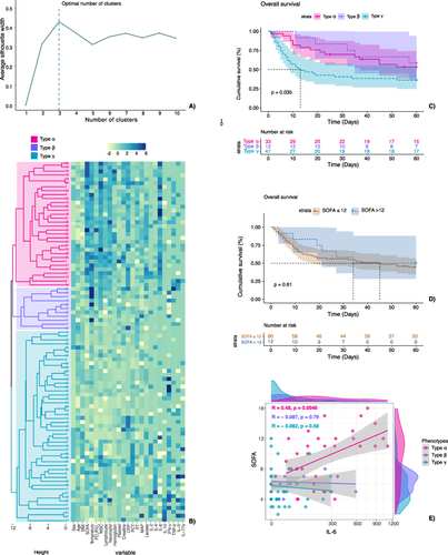Figure 2 Identification of clinical phenotypes and estimation of survival between phenotypes. (A) Calculation of the optimal cluster number. The optimal cluster number was 3 as evaluated with average silhouette width. (B) Hierarchical clustering of phenotypes. Based on the optimal cluster number, clinical variables, and cytokine levels, we defined three phenotypes: α, β and γ. Rows: patients. Columns: clinical variables. First column: dendrogram in red: “type α”, dendrogram in blue: “type β”, dendrogram in green: “type γ”. (C) Cox survival curve to 60 days for patients striated with phenotypes. Type γ had a significantly lower survival rate than patients in other phenotypes p = 0.035, adjusted for age, SOFA score, and PaO2/FiO2. (D) Cox survival curve to 60 days for patients striated by SOFA score. Patients stratified with SOFA score (≤ 12 or >12 points) did not show a difference of survival over time. p = 0.610, adjusted for age, and PaO2/FiO2. (E) Scatter plot between IL-6 levels and SOFA score for patients with different phenotypes. The correlation was evaluated with the Pearson correlation coefficient (R). The correlation of IL-6 level and SOFA score only existed in type α (Pearson’s R =0.48, p=0.0046).