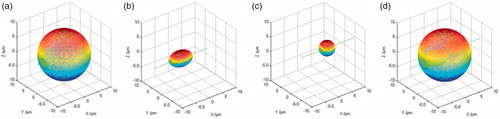 Figure 5. Dinuclear cell reconstruction results by geometric rotation algorithm. (a–c) The 3D surfaces of the cell membrane, ellipsoidal nucleus and spherical nucleus; (d) 3D complete surface of the cell.