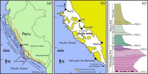 Figure 1. (a) Map of the major Cenozoic sedimentary basins along the coast of Peru. Major structural highs are the Coastal Batholith, the Outer Shelf High and the Upper Slope Ridge. Redrawn and modified after Travis et al. (Citation1976) and Thornburg and Kulm (Citation1981). (b) Schematic geological map of the East Pisco Basin, showing the areas of Cenozoic outcrop, the distribution of pre-Cenozoic rocks, and the location of the study area. Redrawn and modified after DeVries and Schrader (Citation1997). (c) Schematic stratigraphic column of the Chilcatay and Pisco formations and their internal subdivisions in allomembers. Modified after Di Celma, Malinverno, Collareta, et al. (Citation2018).