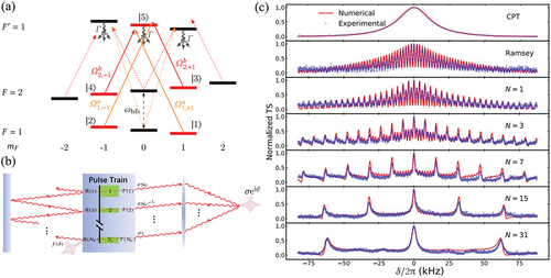 Figure 8. (a) Energy levels of 87Rb D1 line transitions under the lin||lin configuration. (b) The temporal analog of FPR. (c) Experimental transmission signals for different schemes including single-pulse, two-pulse and multi-pulse CPT-Ramsey spectra of N equidistant pulses with a length τ=2 µs into the integration time of 0.5 ms. Figure from [Citation37].