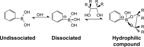 Scheme S1 The reaction between PBA and glucose.Abbreviation: PBA, phenylboronic acid.