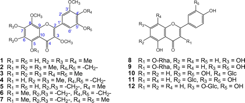 Figure 2. Chemical structures of isolated compounds 1–12 from P. orientale extracts.