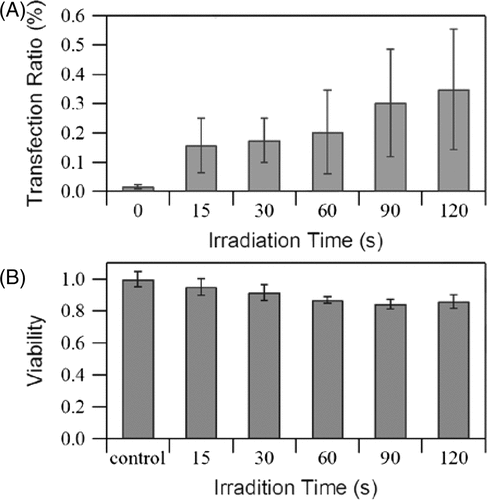 Figure 8. Effects of irradiation time on (A) GFP transfection rate, and (B) cell viability measured immediately after exposure. US intensity 1.76 W/cm2, burst duty ratio 10%, pulse repetition frequency 5 kHz, microbubble concentration 10%. The data is averaged from three independent replicates (12 samples) and shown as the mean ± standard deviation.