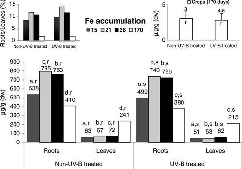 Figure 1.  Concentrations of Fe in roots, leaves and seeds of control and UV-B treated rice plants. Each value is the mean (+SE) of three replicates of three independent series. Different letters indicate significant differences among treatments: a, b, c, d among the experimental periods; r, s among treatments within each experimental period.