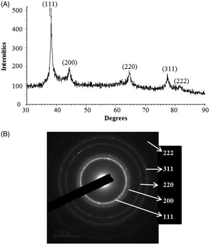 Figure 4. X-ray diffraction pattern (A) and SAED pattern (B) of biosynthesized AgNPs.