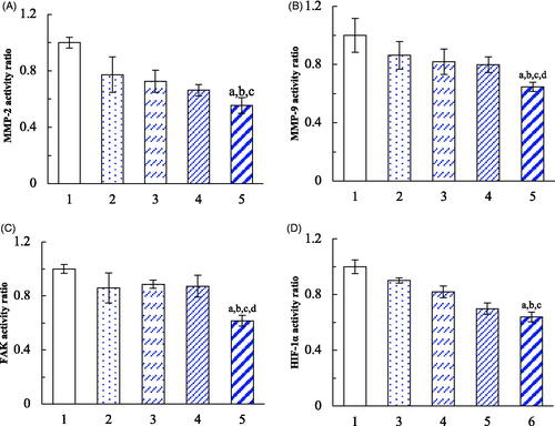 Figure 8. Inhibition on the VM indicators in brain glioma cells after treatment with dual targeting daunorubicin plus rofecoxib liposomes. (1) Blank control; (2) daunorubicin liposomes; (3) rofecoxib liposomes; (4) daunorubicin plus rofecoxib liposomes; (5) dual targeting daunorubicin plus rofecoxib liposomes. p<.05. (a) vs. 1; (b) vs. 2; (c) vs. 3; (d) vs. 4. Data are presented as the mean ± SD (n = 4).