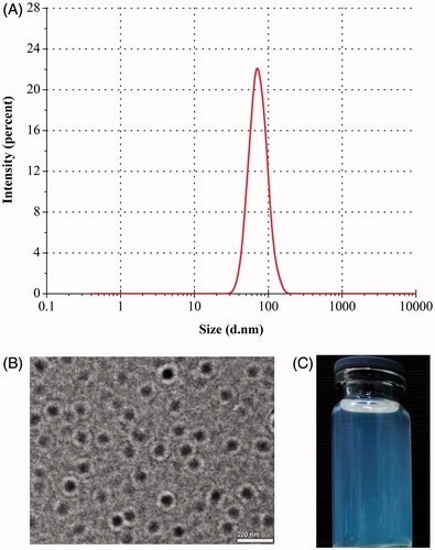 Figure 1. Particle size distribution (A), TEM morphology (B), and appearance (C) of TPR-NPs prepared from the optimal formulation.