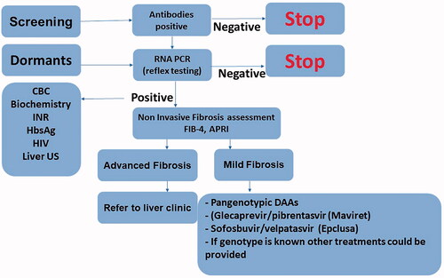 Figure 1. Screening, diagnosis and treatment of chronic hepatitis C.