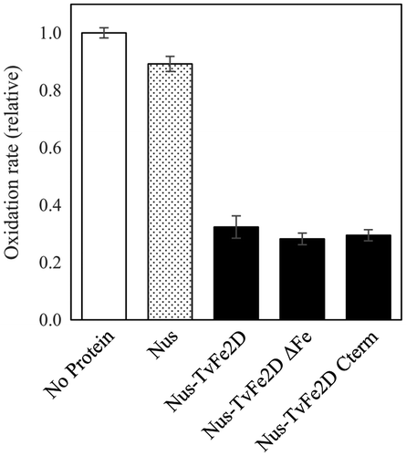 Fig. 8. Suppression of TvFe2D mutants on the accumulation of oxidized syringaldazine produced by Trametes laccase. For Nus (gray bar), Nus-TvFe2D, Nus-TvFe2DΔFe and Nus-TvFe2D Cterm (black bar), 96, 134, 134, and 105 μg, respectively, of recombinant proteins (corresponding to 1.5 nmol each) were included in 1 mL of reaction solution. The laccase activities were 1.8 nmol-oxidized syringaldazine min−1 mL−1 in the control (white bar). The results are presented as means ± standard deviations (n = 5).