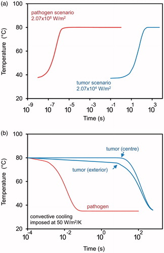 Figure 5. (a) Comparison of the time-temperature profiles when heating a 10 mm diameter tumour and a 1 μm diameter active volume (labelled as “pathogen”). In both cases, the excitation energy has been adjusted to give a steady state temperature of 80 °C. (b) Comparison of the cooling profiles of the above two scenarios after excitation is terminated.