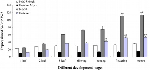 Figure 6. Expression profiles of TaLr35PR5 at different growth and development of wheat. The y-axis indicates the amounts of wheat TaLr35PR5 normalized to the GAPDH gene and express relative to mock inoculated plants on 0 hpi. The x-axis indicates the different development stage. Error bars represent variation among three biological replicates. **p < 0.01, *p < 0.05, n = 3.