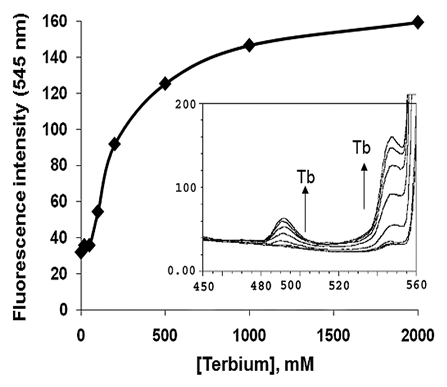 Figure 1 Tb3+ binding to LigCon. 10 µM of purified recombinant LigCon was suspended in 50 mM Tris (pH 7.2) and 50 mM KCl and excited at 285 nm. Emission spectrum was recorded from 300 nm to 580 nm. Aliquots of terbium chloride (0 to 2 mM) were added in the protein solution and spectra were recorded. The intensity at 545 nm was plotted against terbium chloride concentrations. Inset shows emission spectra between 450 and 560 nm upon terbium chloride addition. The two peaks at 485 and 545 nm are seen.