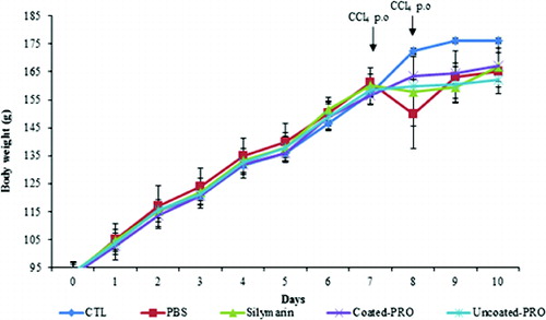 Figure 1. Change in body weight in normal and CCl4-treated rats. Group I (CTL): normal control; Group II (PBS): CCl4 control; Group III (silymarin): silymarin standard and CCl4; Group IV (coated-PRO): dual-coated probiotics and CCl4; Group V (uncoated-PRO): uncoated probiotics and CCl4. Note: Values represent means from six determinations ± SD.