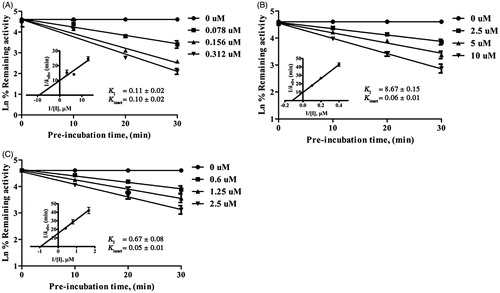 Figure 2. Time- and concentration-dependent inactivation and kinetics of inhibition of CYP2A6-mediated coumarin 7-hydroxylation by 2-(prop-1-inyl)-5–(5, 6-dihydroxyhexa-1,3-diinyl) thiophene 11 (A), and of CYP2A13-mediated coumarin 7-hydroxylation by 8α-(4-hydroxymethacryloyloxy)-hirsutinolide-13-O-acetate 7 (B), and 2-(prop-1-inyl)-5–(5, 6-dihydroxyhexa-1,3-diinyl) thiophene 11 (C). Data are represented as mean ± SD of triplicate experiments.