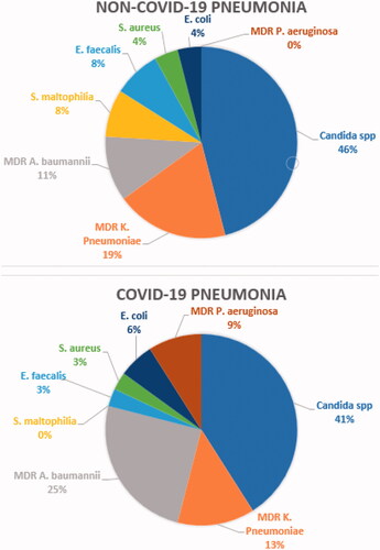 Figure 2. The most common isolations on BAL or sputum culture of non-COVID-19 and COVID-19 patients.