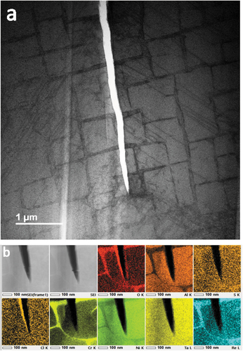 Figure 4. (a) BF-STEM image showing a primary crack tip in a 10-minute exposure CMSX-4 c-ring and (b) the accompanying EDS maps revealing element distributions at the crack tip.