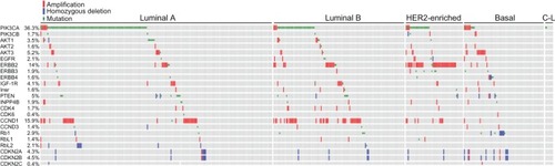 Figure 1 Frequencies of genetic lesions identified in primary breast tumors.