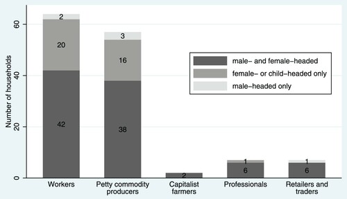 Figure 1. Distribution of households in sub-sample according to class grouping and household type (n = 137).