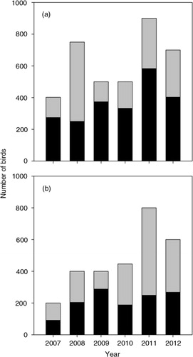 Fig. 4  Comparison of maximum (entire bar) and July mean (black) numbers of (a) Arctic terns and (b) common eiders on Nasaruvaalik Island in each of six years of study.