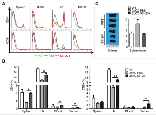 Figure 6. Increase of effective T cells and reduction of exhausted T-cells in S3I-201 treatment Tgfbr1/Pten 2cKO mice. (A) Representative flow cytometry photos showed increase of CD4+ and CD8+ T cells in S3I-201 treatment group. (B) Quantification of CD4+ and CD8+cell population in spleen, lymph node (LN), blood and tumor of wild type mice, Tgfbr1/Pten conditional knock out (Tgfbr1/Pten 2cKO) mice with or without S3I-201 treatment (Data presented as mean ± SEM, n = 6 mice respectively, ANOVA with post Tukey test. *p <0.05; **p <0.01). (C) Representative image and spleen index shows the comparison between S3I-201 treatment group and control group (Data presented as mean ± SEM, n = 3 mice respectively, ANOVA with post Tukey test. *p <0.05).