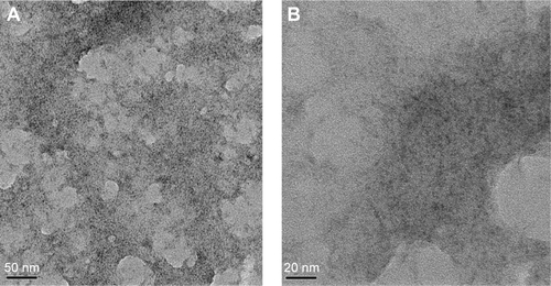 Figure S7 TEM images of the obtained with different magnification: (A) low magnification, (B) high magnification.Abbreviation: TEM, transmission electron microscopy.