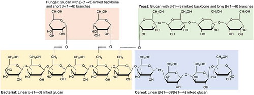Figure 1. Glucans and their chemical structures. Examples and configurations of β-glucans derived from bacteria, fungi, yeast and cereal.