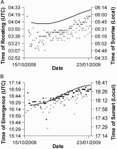 Figure 5. Plots of the timing of roosting (A) and emergence (B) (UTC) and the timing of sunrise and sunset (solid lines) in the general region of the wintering ranges (local time). Black squares represent bird 766 and grey squares bird 757. Emergence and roosting times of bird 757 were earlier because it was further east than bird 766.