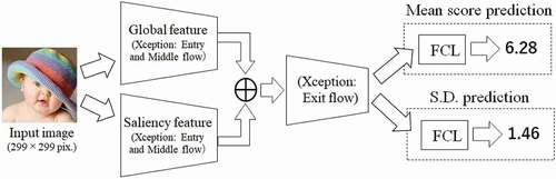 Figure 3. Architecture of the proposed method based on two-stream and multi-task CNNs