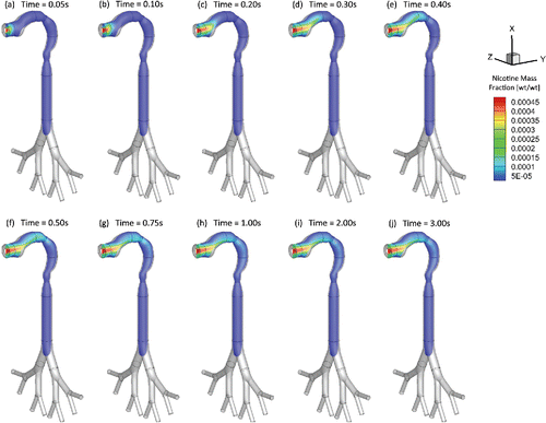 Figure 5. Mass fraction distribution of nicotine vapor at different (Qin = 55 ml per 3.0 s): (a) t = 0.05 s; (b) t = 0.10 s; (c) t = 0.20 s; (d) t = 0.30 s; (e) t = 0.40 s; (f) t = 0.50 s; (g) t = 0.75 s; (h) t = 1.00 s; (i) t = 2.00 s; (j) t = 3.00 s.