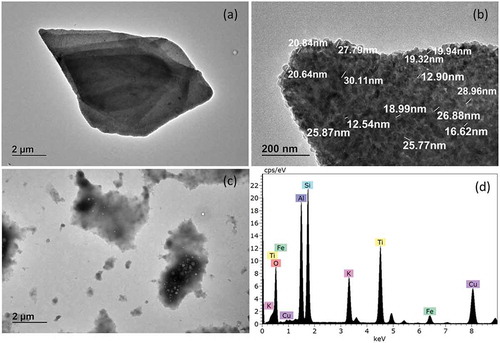 Figure 4. TEM images of pearlescent pigment used in yellow sugar pearls. (a) Lower magnification of pigment, (b) higher magnification of pigment surface, (c) extracted material, (d) energy dispersive x-ray analysis. Spectrum belonging to sub-figure (B).