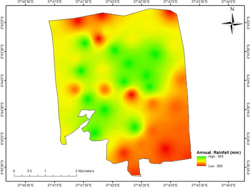 Figure 15. Rainfall suitability map for sunflower production of Tungi Farm.