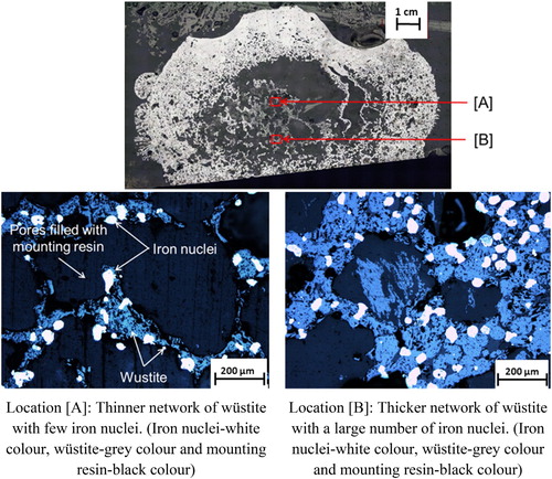 Figure 9. Reflected light microscopy of the pellet quenched from 1400oC with 20 wt-% mixed nut coke.