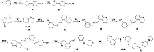 Scheme 4. Reagents and conditions: (vii) pyrazole, DMF, N2, 120 °C, 9 h; (ii) NaOH, 80 °C, EtOH/H2O, 6 h; (iii) BuLi, DMF, -78 °C, 1 h; (iv) 3-(aminomethyl)phenol, AcOH, MeOH, rt, 1 h; (v) NaBH4, THF, overnight; (vi) CH2O, HCOOH, 70 °C, 8 h; (vii) 23, K2CO3, toluene, 110 °C, overnight; (viii) TFA, DCM, 0 °C to rt, 2 h; (ix) 28, HATU, DIPEA, DCM, rt, 6 h.