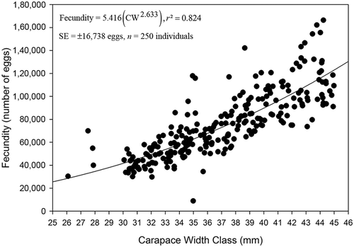 FIGURE 10. Relationship between the number of eggs and the carapace width of C. aestuarii in Parila Lagoon.