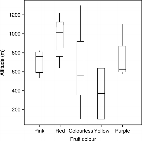 Figure 2  Box-plot summary of altitude (m.a.s.l.) for different fruit colours in Coprosma dumosa. Numbers of samples are pink 3, red 14, colourless 19, yellow 2, purple 4.